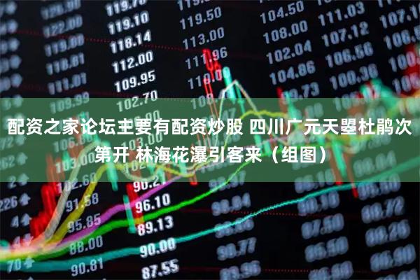 配资之家论坛主要有配资炒股 四川广元天曌杜鹃次第开 林海花瀑引客来（组图）